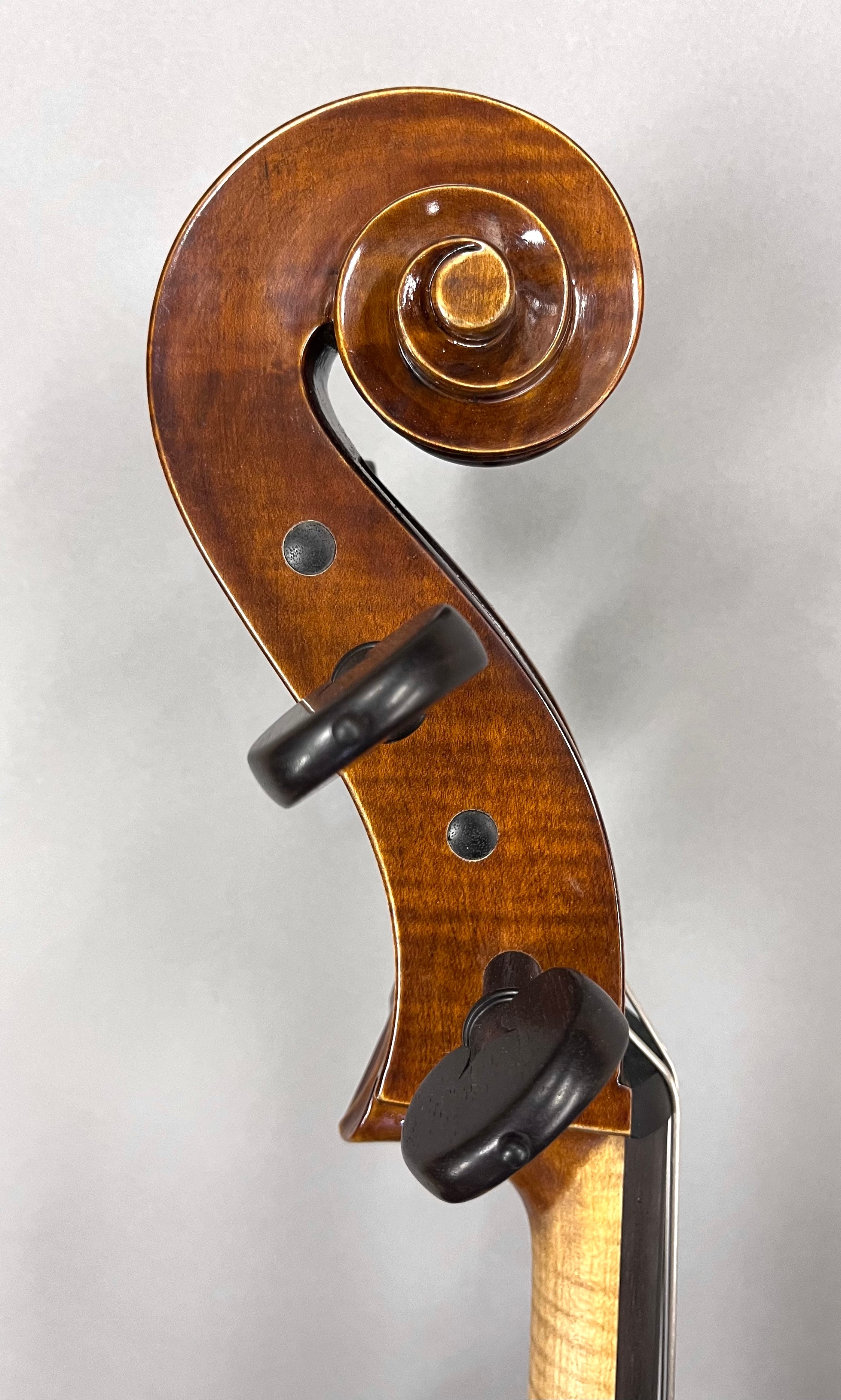 4/4Cello : New Peter Siegfried Heffler, Germany 2023 | l