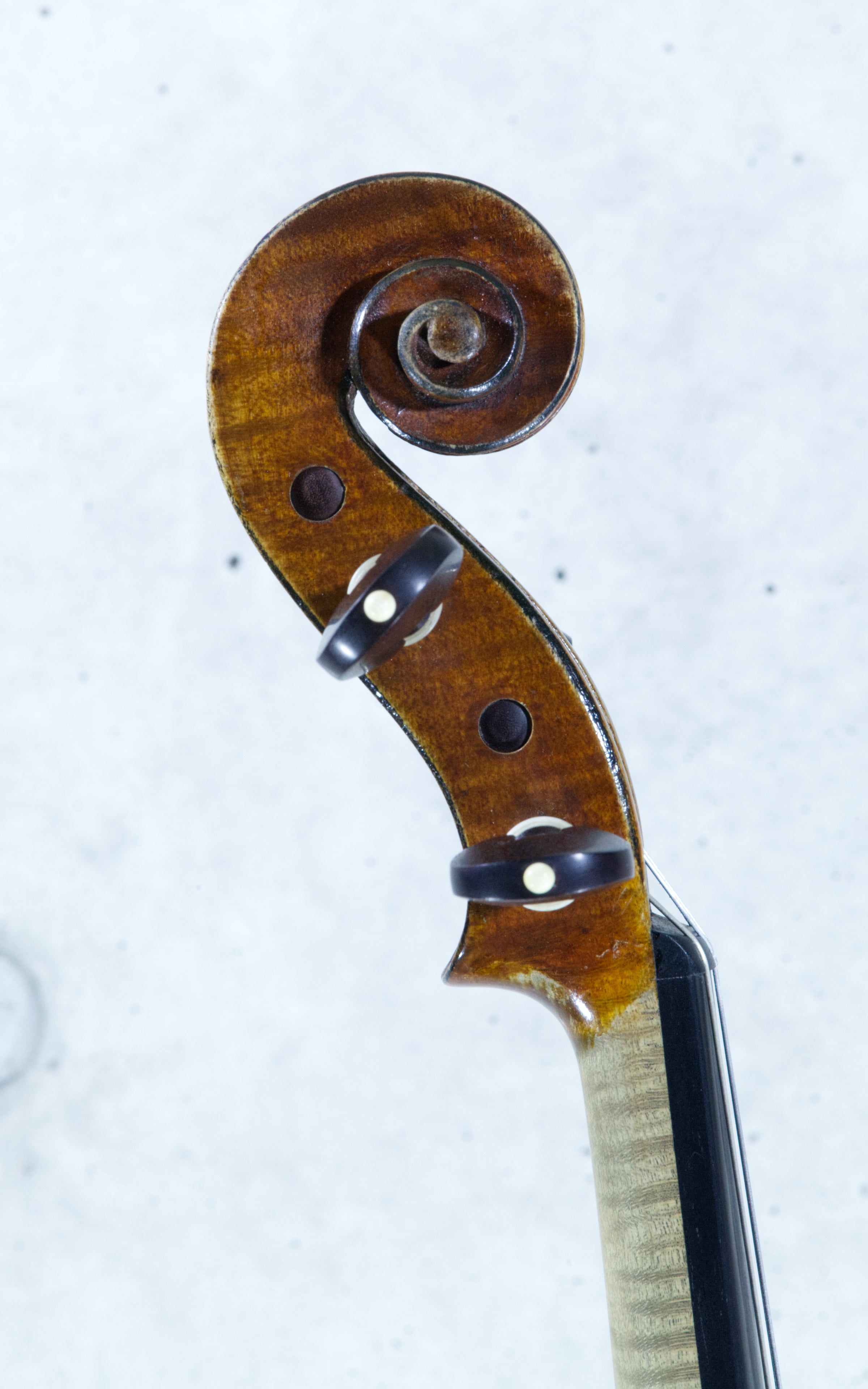 4/4Violin : Jean-Baptiste Vuillaume St. Cécile 1851 | l'atelier by apc