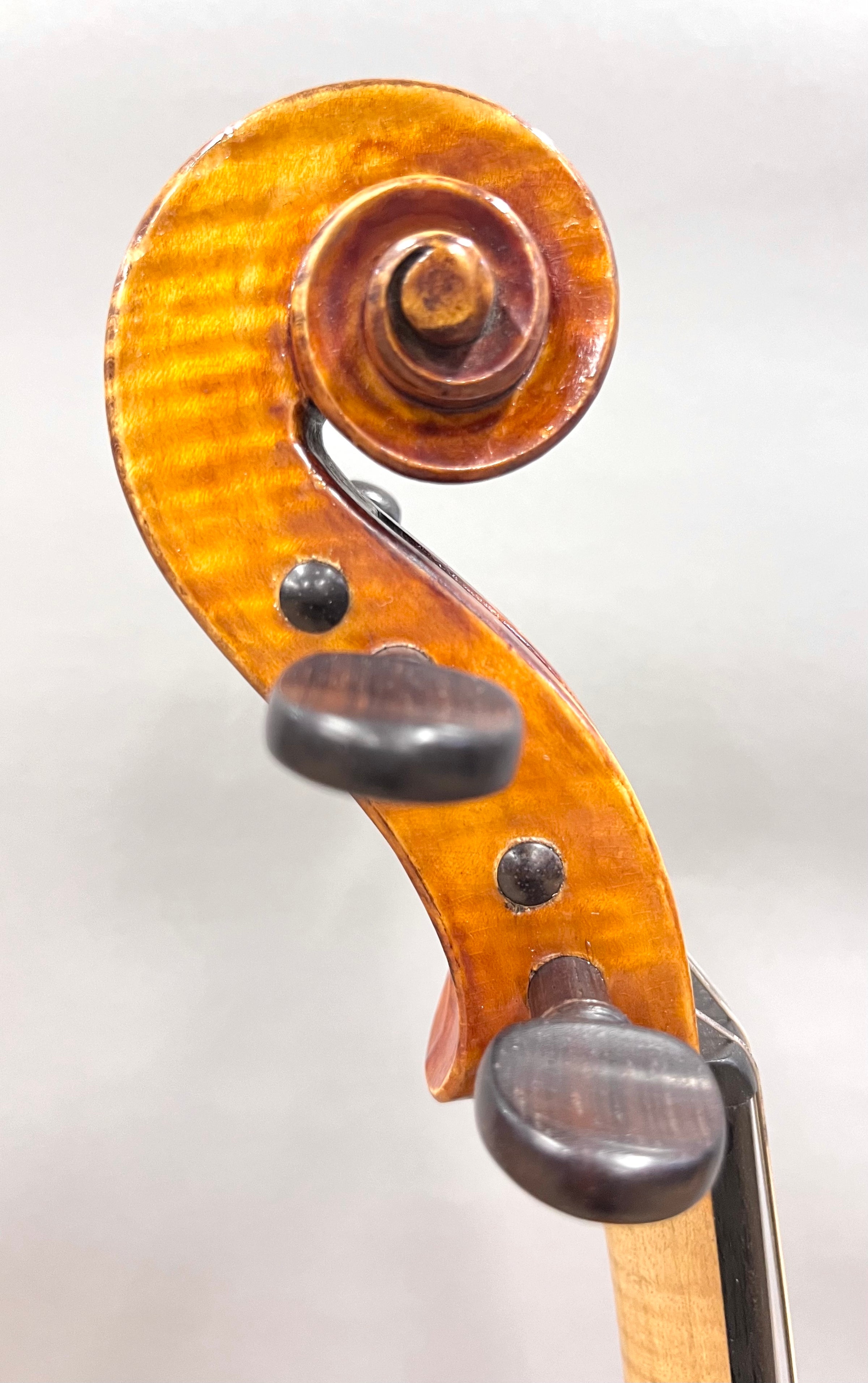 4/4Violin : Amedeo Simonazzi Italy 1945-55 Rental | l