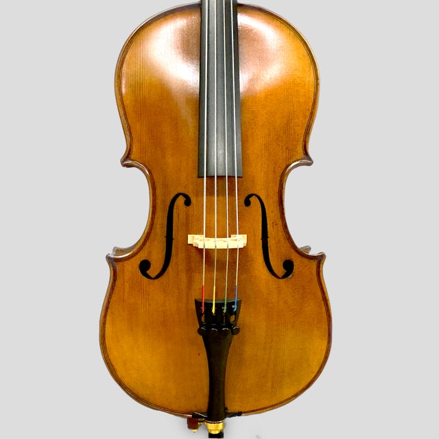 Cello for Rental チェロ レンタル | l'atelier by apc